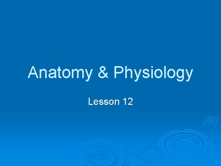 Anatomy & Physiology Lesson 12 