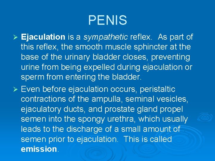 PENIS Ejaculation is a sympathetic reflex. As part of this reflex, the smooth muscle