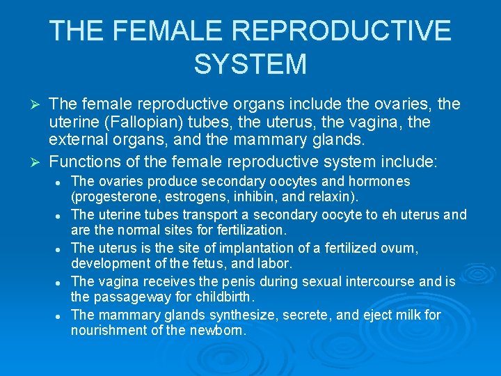 THE FEMALE REPRODUCTIVE SYSTEM The female reproductive organs include the ovaries, the uterine (Fallopian)