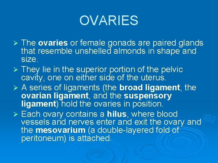 OVARIES The ovaries or female gonads are paired glands that resemble unshelled almonds in