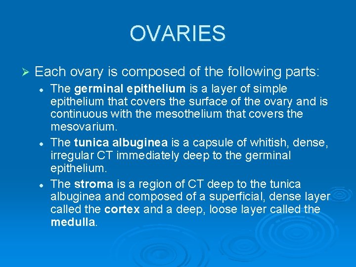 OVARIES Ø Each ovary is composed of the following parts: l l l The