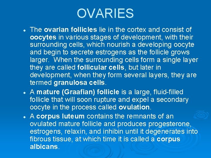 OVARIES l l l The ovarian follicles lie in the cortex and consist of