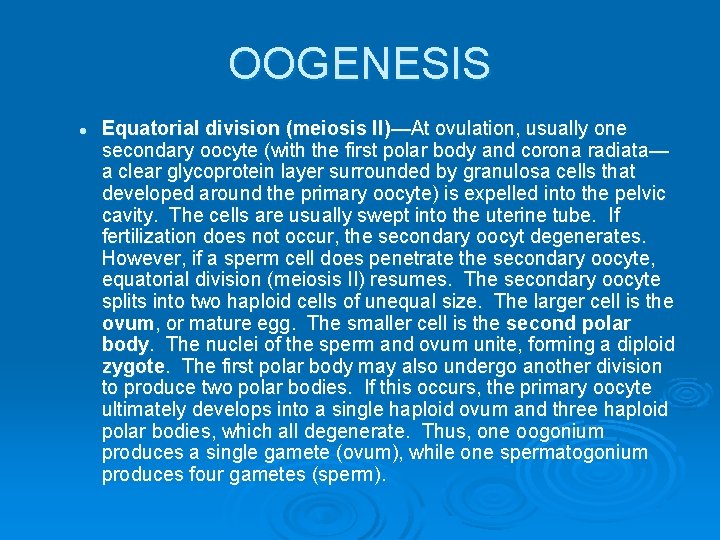 OOGENESIS l Equatorial division (meiosis II)—At ovulation, usually one secondary oocyte (with the first