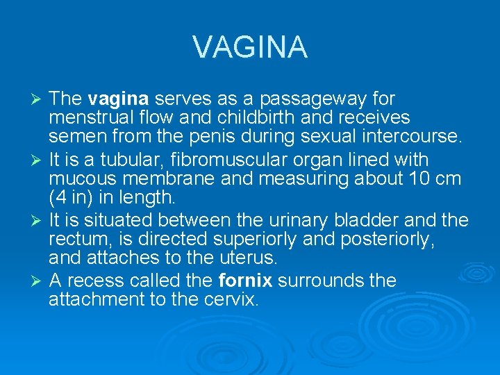 VAGINA The vagina serves as a passageway for menstrual flow and childbirth and receives