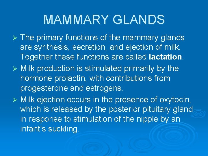 MAMMARY GLANDS The primary functions of the mammary glands are synthesis, secretion, and ejection