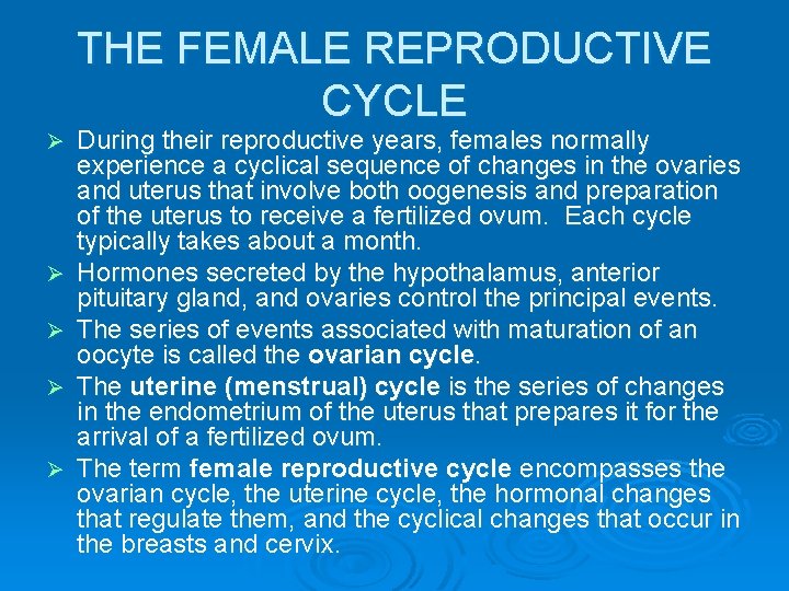 THE FEMALE REPRODUCTIVE CYCLE Ø Ø Ø During their reproductive years, females normally experience