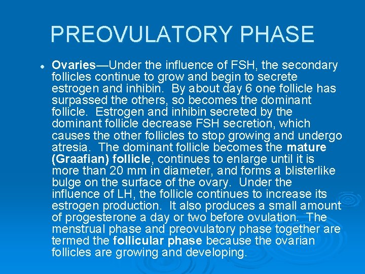 PREOVULATORY PHASE l Ovaries—Under the influence of FSH, the secondary follicles continue to grow