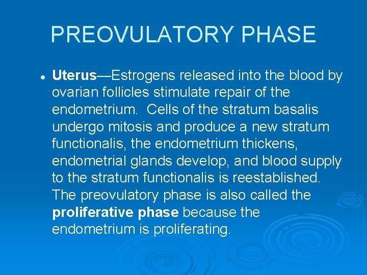 PREOVULATORY PHASE l Uterus—Estrogens released into the blood by ovarian follicles stimulate repair of