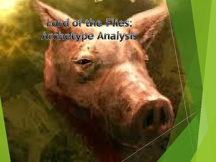 Lord of the Flies: Archetype Analysis 