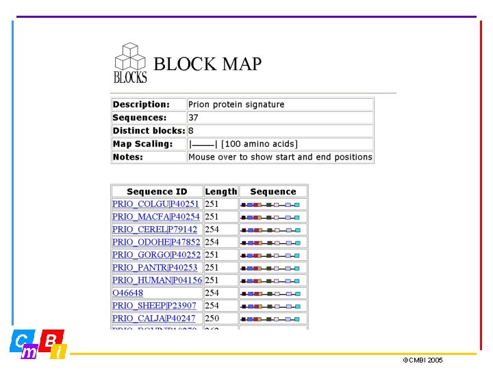 ©CMBI 2005 