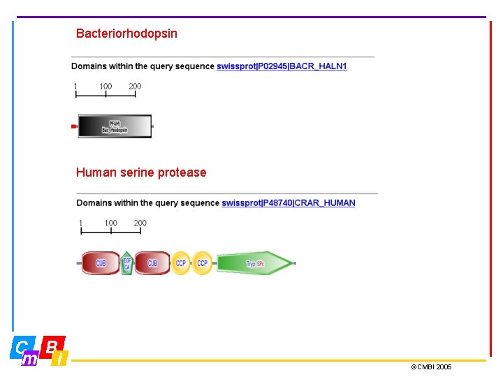 Bacteriorhodopsin Human serine protease ©CMBI 2005 