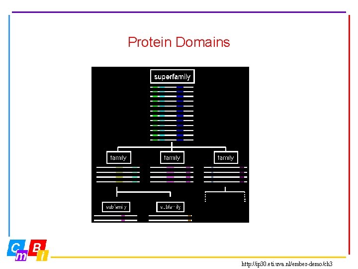 Protein Domains http: //ip 30. eti. uva. nl/ember-demo/ch 3 