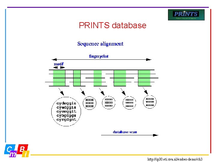 PRINTS database http: //ip 30. eti. uva. nl/ember-demo/ch 3 