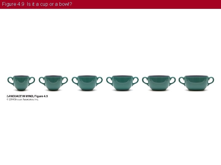 Figure 4. 9 Is it a cup or a bowl? 