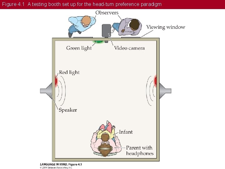 Figure 4. 1 A testing booth set up for the head-turn preference paradigm 