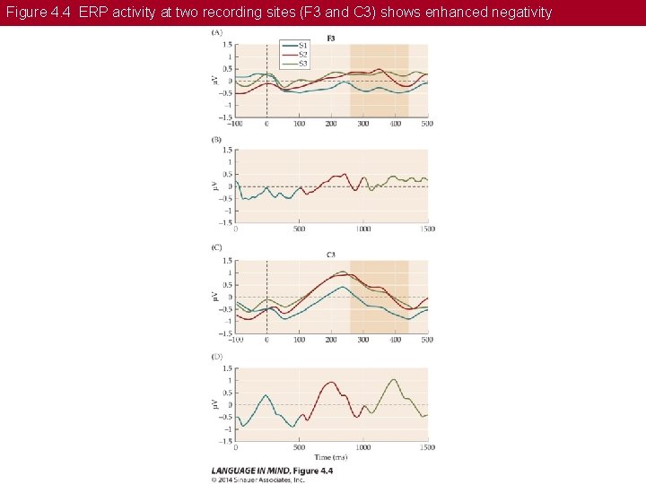 Figure 4. 4 ERP activity at two recording sites (F 3 and C 3)