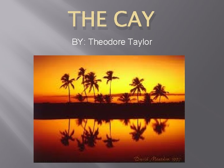 THE CAY BY: Theodore Taylor 