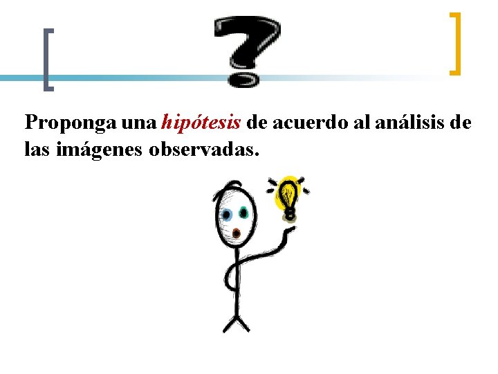 Proponga una hipótesis de acuerdo al análisis de las imágenes observadas. 