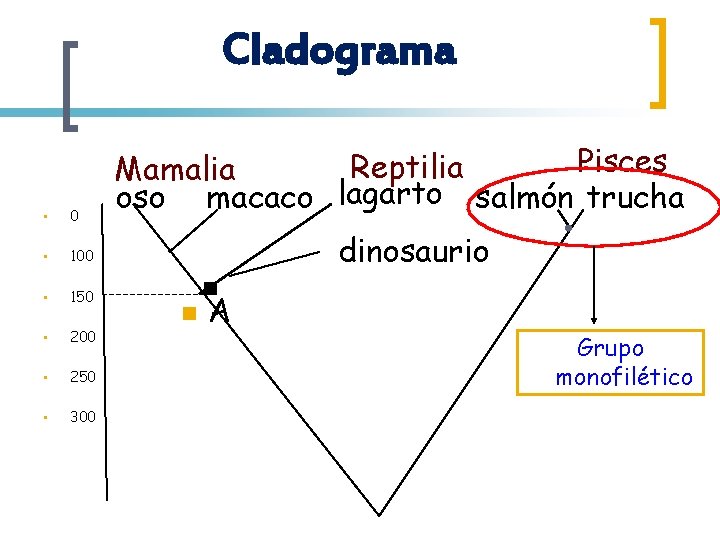 Cladograma • 0 • 100 • 150 • 200 • 250 • 300 Pisces