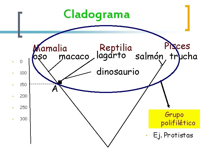 Cladograma • 0 • 100 • 150 • 200 • 250 • 300 Pisces