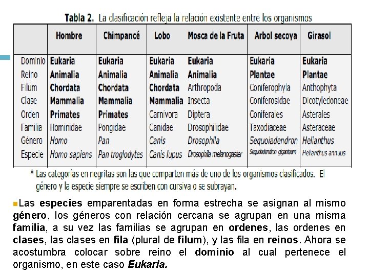 n. Las especies emparentadas en forma estrecha se asignan al mismo género, los géneros