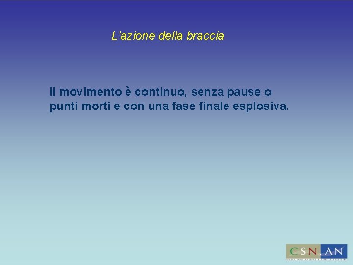 L’azione della braccia Il movimento è continuo, senza pause o punti morti e con