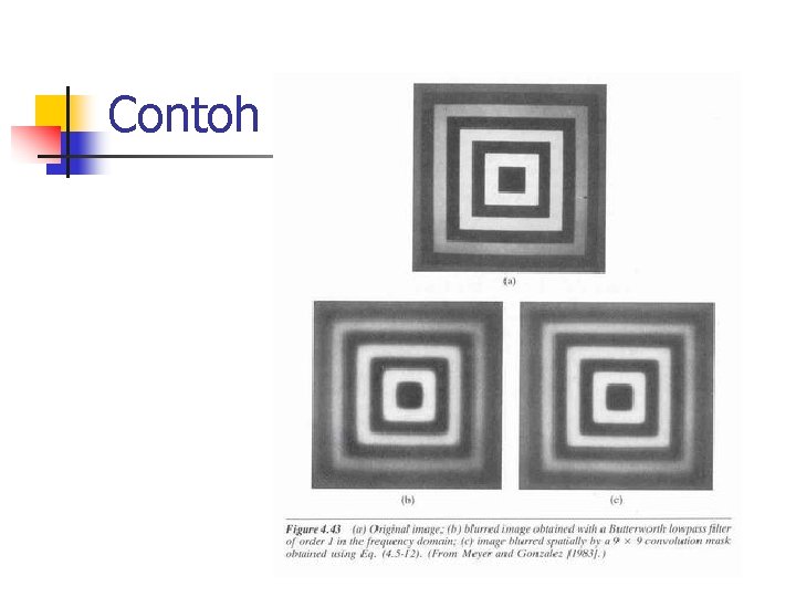 Contoh Contoh