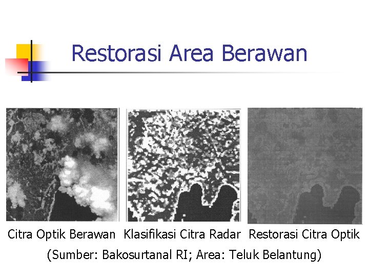 Restorasi Area Berawan Citra Optik Berawan Klasifikasi Citra Radar Restorasi Citra Optik (Sumber: Bakosurtanal Restorasi Area Berawan Citra Optik Berawan Klasifikasi Citra Radar Restorasi Citra Optik (Sumber: Bakosurtanal