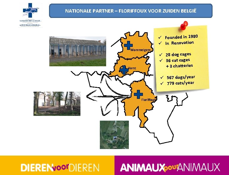 NATIONALE PARTNER – FLORIFFOUX VOOR ZUIDEN BELGIË ü Founded in 1980 ü In Renovation