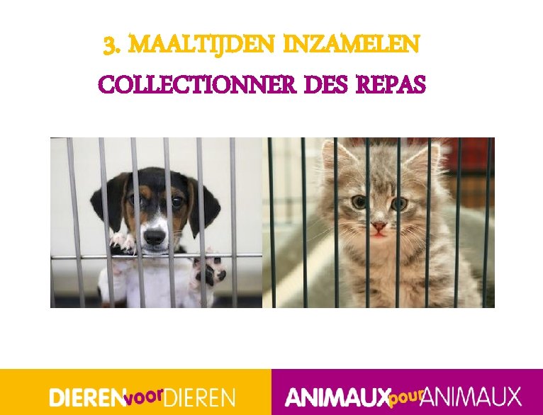 3. MAALTIJDEN INZAMELEN COLLECTIONNER DES REPAS BOS NSM A 4 A(2) 