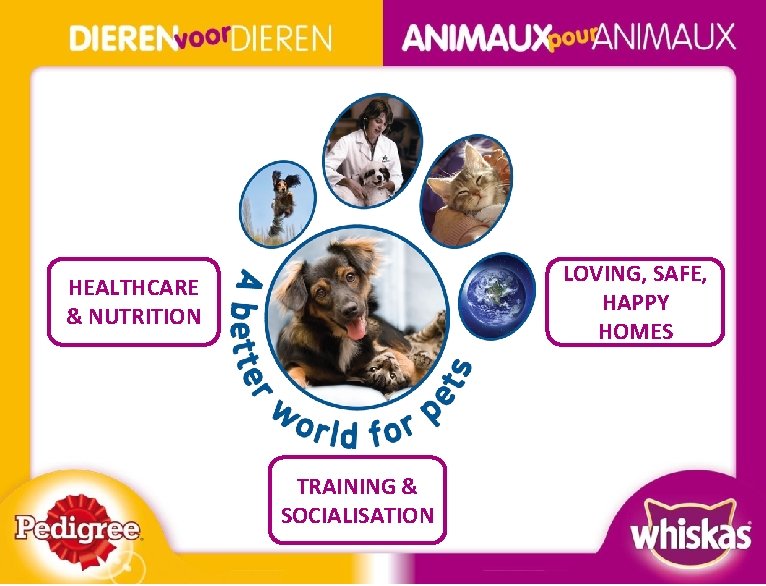 LOVING, SAFE, HAPPY HOMES HEALTHCARE & NUTRITION TRAINING & SOCIALISATION BOS NSM A 4