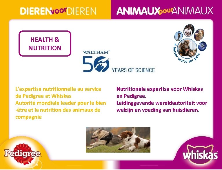 HEALTH & NUTRITION L’expertise nutritionnelle au service de Pedigree et Whiskas Autorité mondiale leader