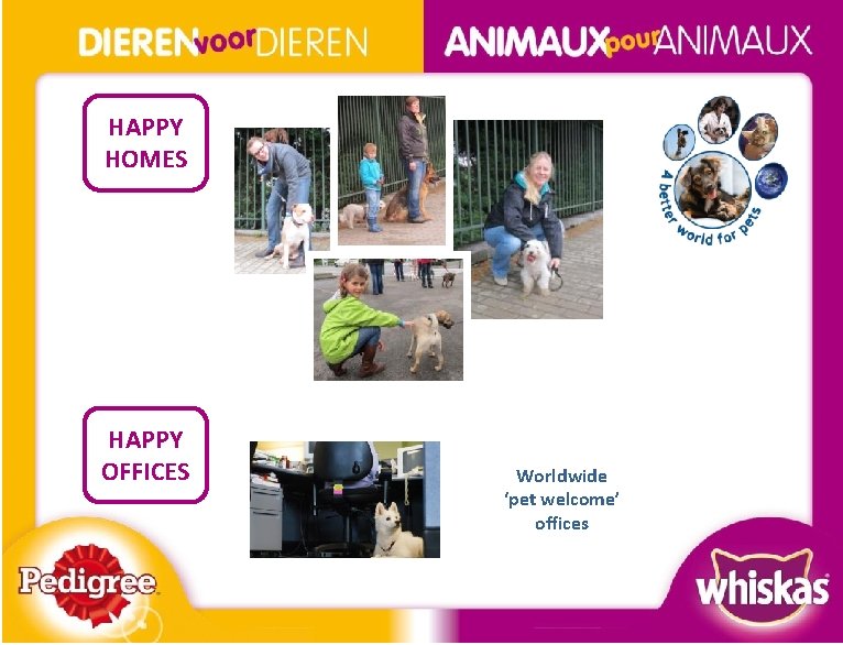 HAPPY HOMES HAPPY OFFICES Worldwide ‘pet welcome’ offices BOS NSM A 4 A(2) 