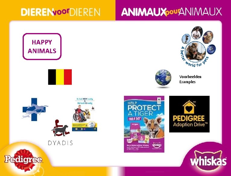 HAPPY ANIMALS Voorbeelden Examples BOS NSM A 4 A(2) 