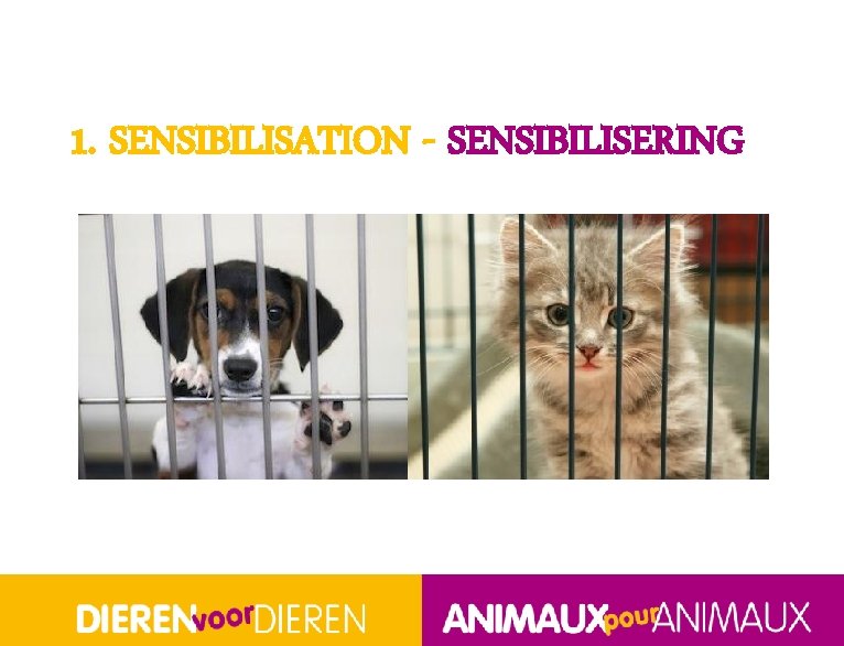 1. SENSIBILISATION - SENSIBILISERING BOS NSM A 4 A(2) 