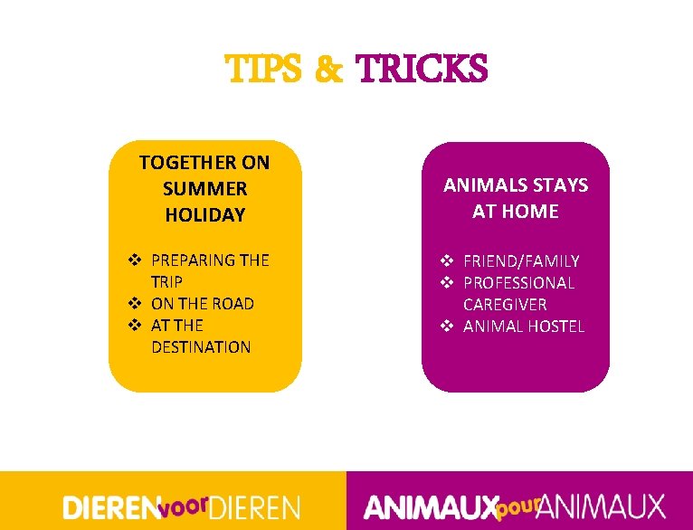 TIPS & TRICKS TOGETHER ON SUMMER HOLIDAY ANIMALS STAYS AT HOME v PREPARING THE
