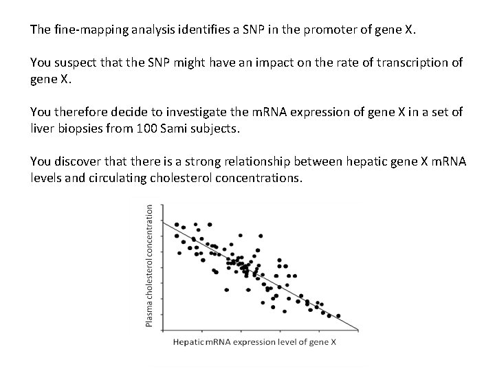 The fine-mapping analysis identifies a SNP in the promoter of gene X. You suspect