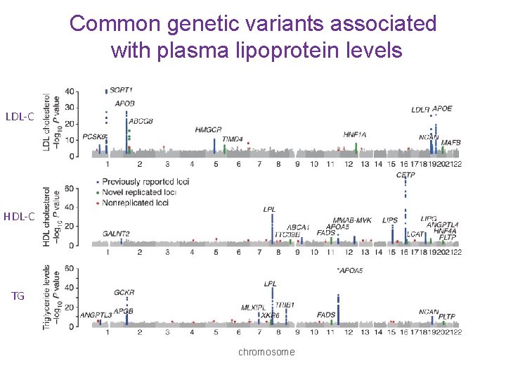 Common genetic variants associated with plasma lipoprotein levels LDL-C HDL-C TG chromosome 