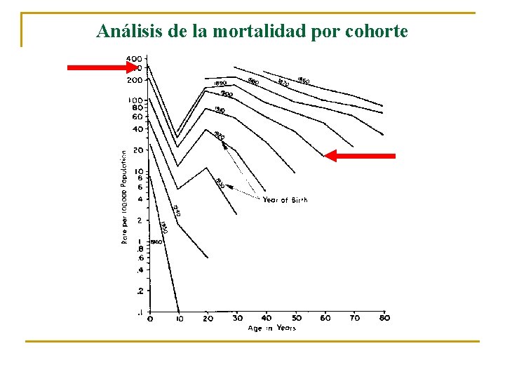 Análisis de la mortalidad por cohorte 
