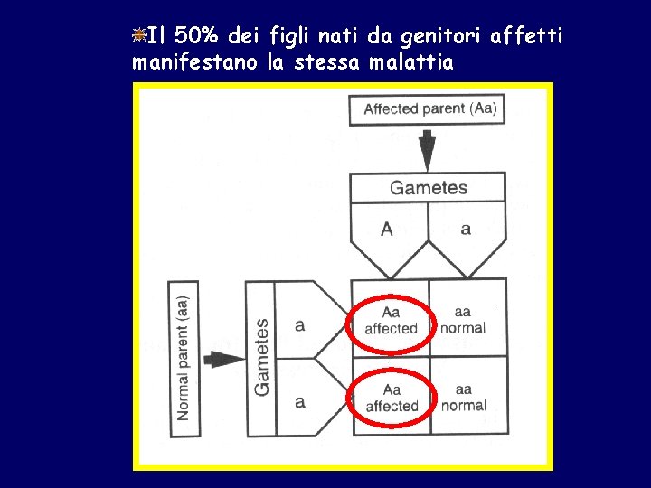 Il 50% dei figli nati da genitori affetti manifestano la stessa malattia 