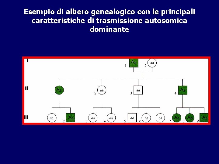 Esempio di albero genealogico con le principali caratteristiche di trasmissione autosomica dominante 