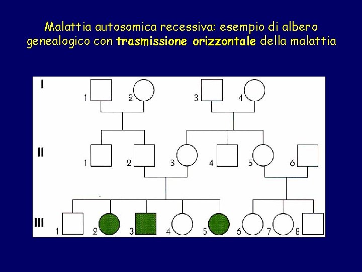 Malattia autosomica recessiva: esempio di albero genealogico con trasmissione orizzontale della malattia 