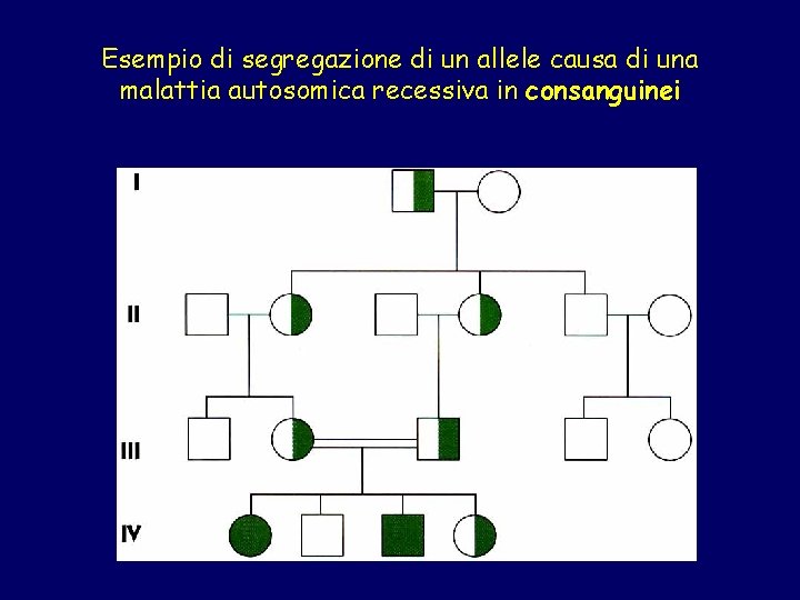 Esempio di segregazione di un allele causa di una malattia autosomica recessiva in consanguinei