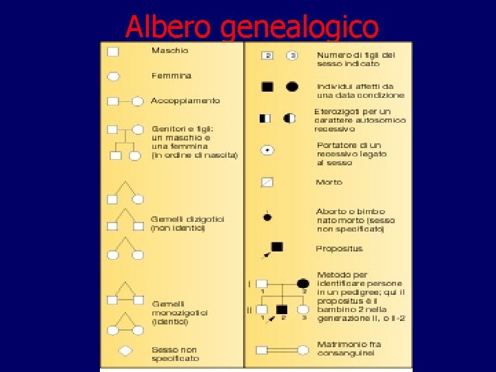 Albero genealogico 