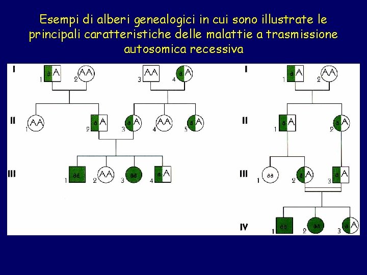 Esempi di alberi genealogici in cui sono illustrate le principali caratteristiche delle malattie a