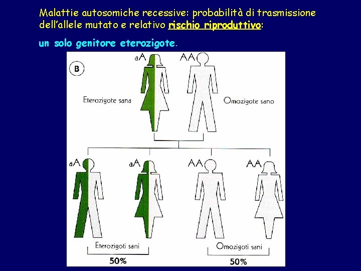 Malattie autosomiche recessive: probabilità di trasmissione dell’allele mutato e relativo rischio riproduttivo: un solo