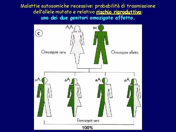 Malattie autosomiche recessive: probabilità di trasmissione dell’allele mutato e relativo rischio riproduttivo: uno dei
