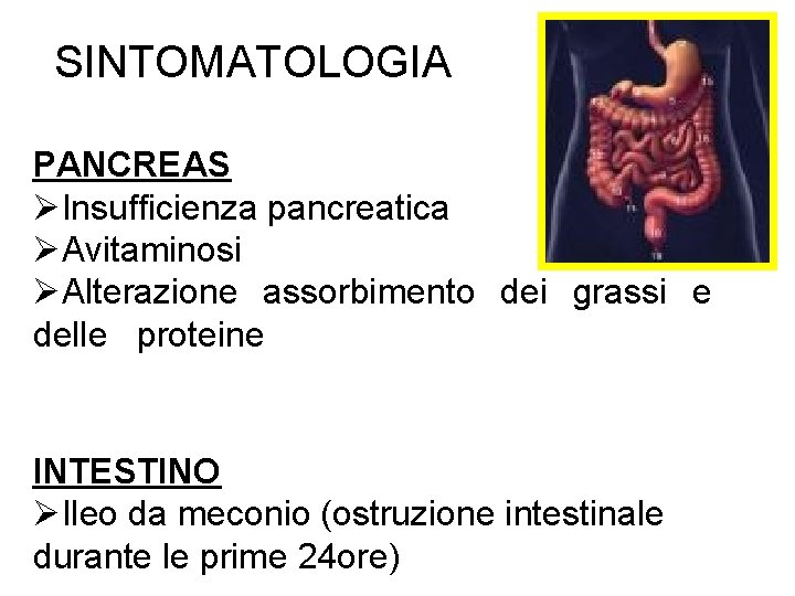 SINTOMATOLOGIA PANCREAS ØInsufficienza pancreatica ØAvitaminosi ØAlterazione assorbimento dei grassi e delle proteine INTESTINO ØIleo