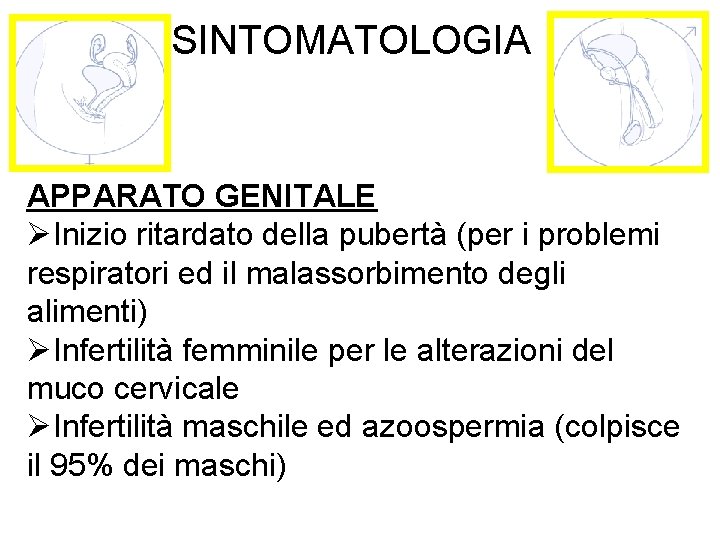 SINTOMATOLOGIA APPARATO GENITALE ØInizio ritardato della pubertà (per i problemi respiratori ed il malassorbimento