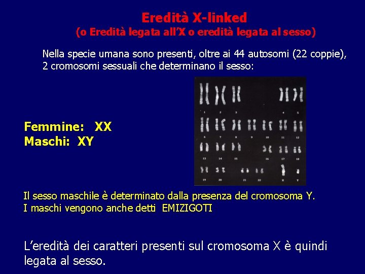 Eredità X-linked (o Eredità legata all’X o eredità legata al sesso) Nella specie umana